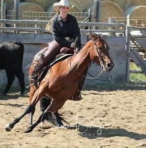 Meet your Posher, Katie